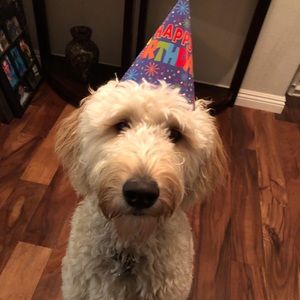 Meet your Posher, Jess